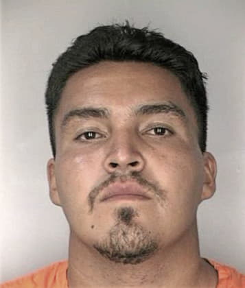 Randy McCullough - Hillsborough County, FL 