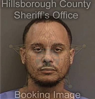 David McLaugllin - Hillsborough County, FL 