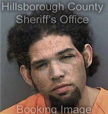 Terrance Mingo - Hillsborough County, FL 