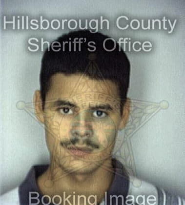 Robert Pena, - Hillsborough County, FL 