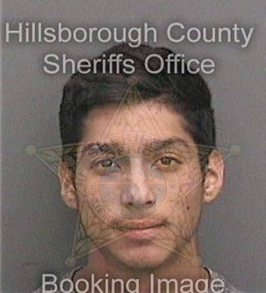 Alex Sullivan, - Hillsborough County, FL 