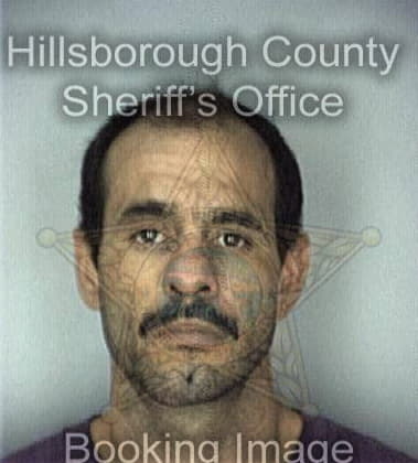 Michael Tharney, - Hillsborough County, FL 