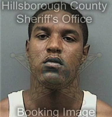 Deterrio Young, - Hillsborough County, FL 