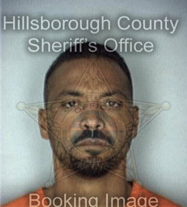 Steven Ariola, - Hillsborough County, FL 