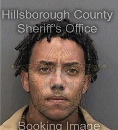 Dorian Bingman - Hillsborough County, FL 