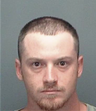 Dennis Craig, - Pinellas County, FL 