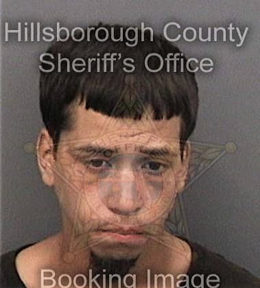 Paul Dumas, - Hillsborough County, FL 