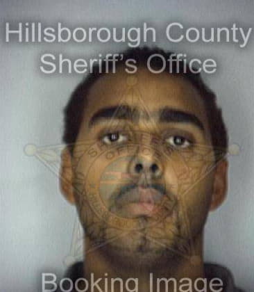 Sylvester Brown, - Hillsborough County, FL 