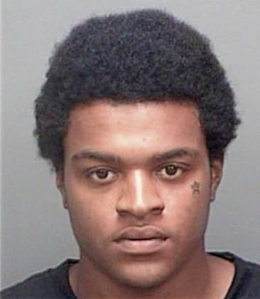 Marcus Holiday, - Pinellas County, FL 