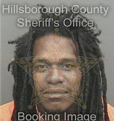 Bruny Michel - Hillsborough County, FL 