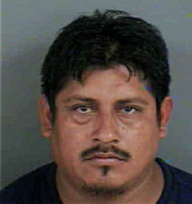 Elmer Reyes, - Collier County, FL 