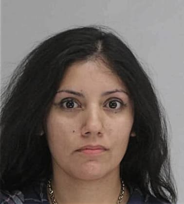 Elsy Villolobossanchez - Dallas County, TX 