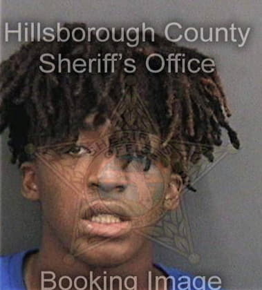 Sean Brown, - Hillsborough County, FL 