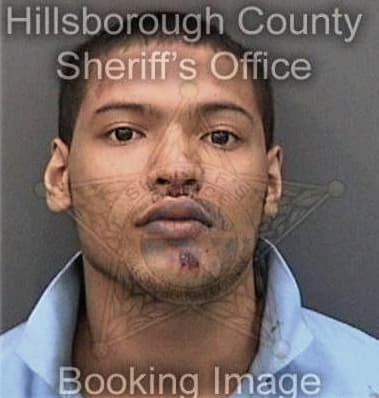 Robert Dees, - Hillsborough County, FL 