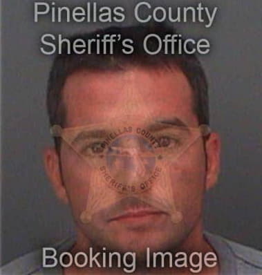 Andrew Delong, - Pinellas County, FL 