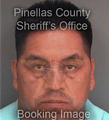 Xavier Inglesramirez, - Pinellas County, FL 