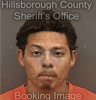 Antonio Perezguzman, - Hillsborough County, FL 