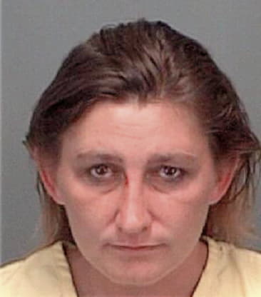 Lesley Smith - Pinellas County, FL 