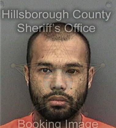 Daniel Thach, - Hillsborough County, FL 