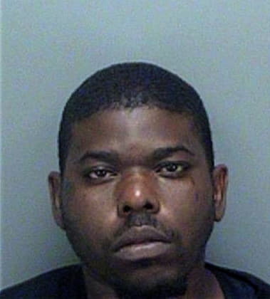 Lashonn Wallace, - Pinellas County, FL 