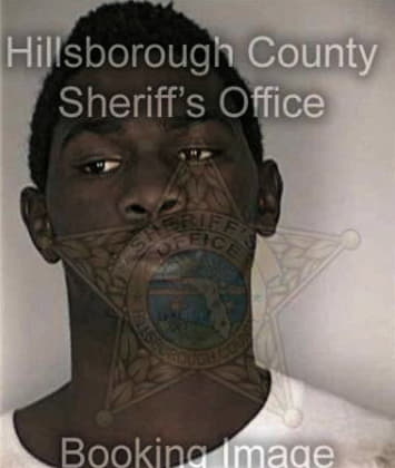 Tory Brinson - Hillsborough County, FL 