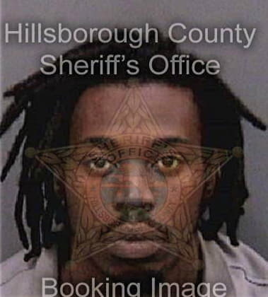Sovive Clarke - Hillsborough County, FL 
