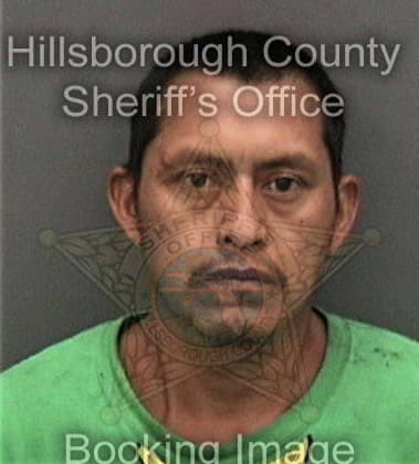 Ramon Diaz, - Hillsborough County, FL 