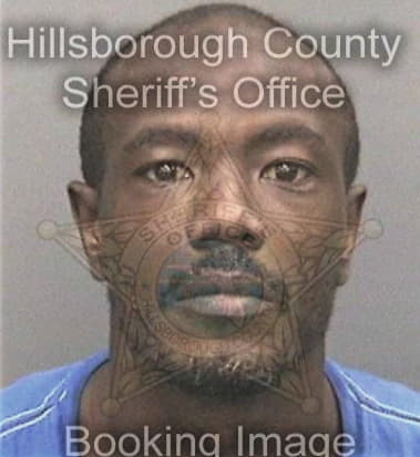 Rodriche Diggs, - Hillsborough County, FL 