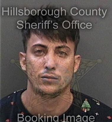 Alvin Gonzalez-Lopez - Hillsborough County, FL 