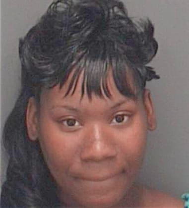 Vista Snowden - Pinellas County, FL 