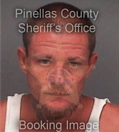 Hector Vasquezpadilla, - Pinellas County, FL 