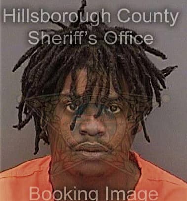Derrell Williams - Hillsborough County, FL 