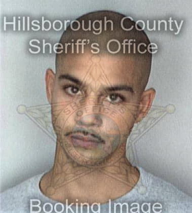 Michael Brownwood, - Hillsborough County, FL 