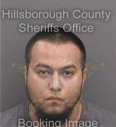 Andres Cajiaogonzalez, - Hillsborough County, FL 