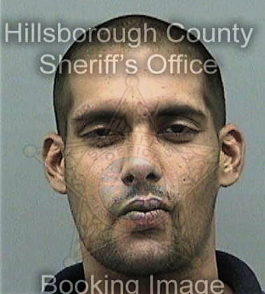 Dorian Collins - Hillsborough County, FL 