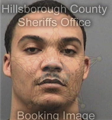 Michael Fields, - Hillsborough County, FL 