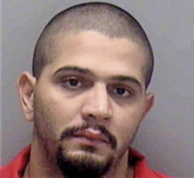 Hernandez Gonsalez, - Lee County, FL 