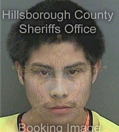 Edward Hartman, - Hillsborough County, FL 