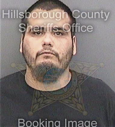 Marcos Malave, - Hillsborough County, FL 