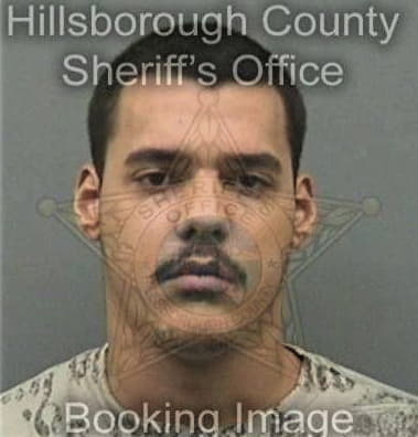 Cristobal Perezgomez, - Hillsborough County, FL 