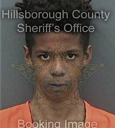 Jermine Roker, - Hillsborough County, FL 