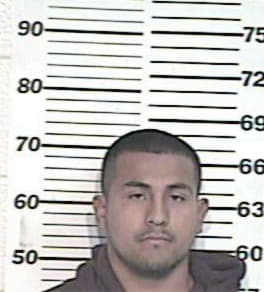 Ramon-Alaniz Torres, - Hidalgo County, TX 