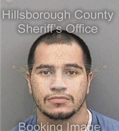 Marc Vega, - Hillsborough County, FL 