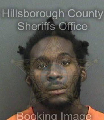 Kenneth Williams, - Hillsborough County, FL 