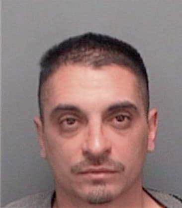 Rafael Alcantaraperez, - Pinellas County, FL 