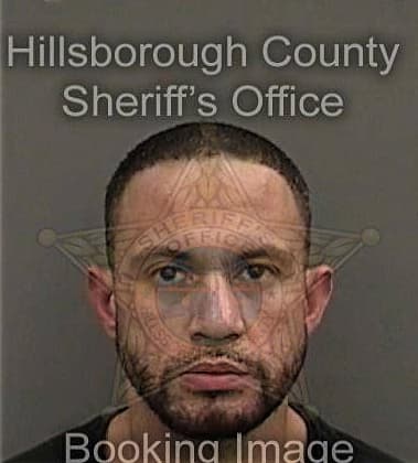 Ramon Arocho-Caban, - Hillsborough County, FL 