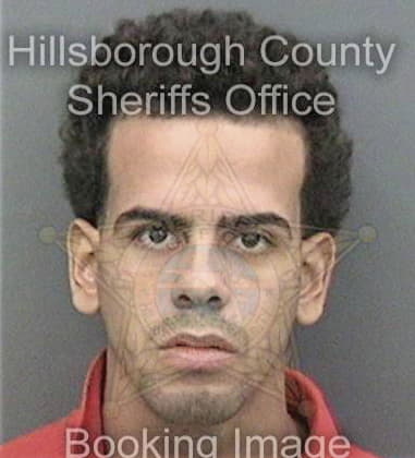 Andrew Chambers, - Hillsborough County, FL 