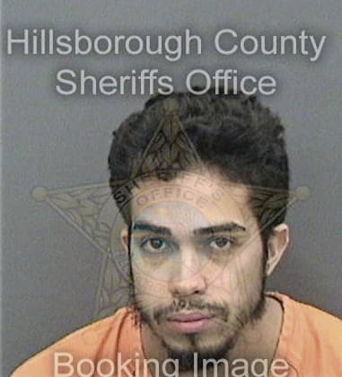 Shane Hall, - Hillsborough County, FL 