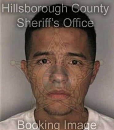 Jose Margarito, - Hillsborough County, FL 