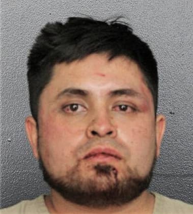 Manuel Rodes-Perdomo, - Broward County, FL 